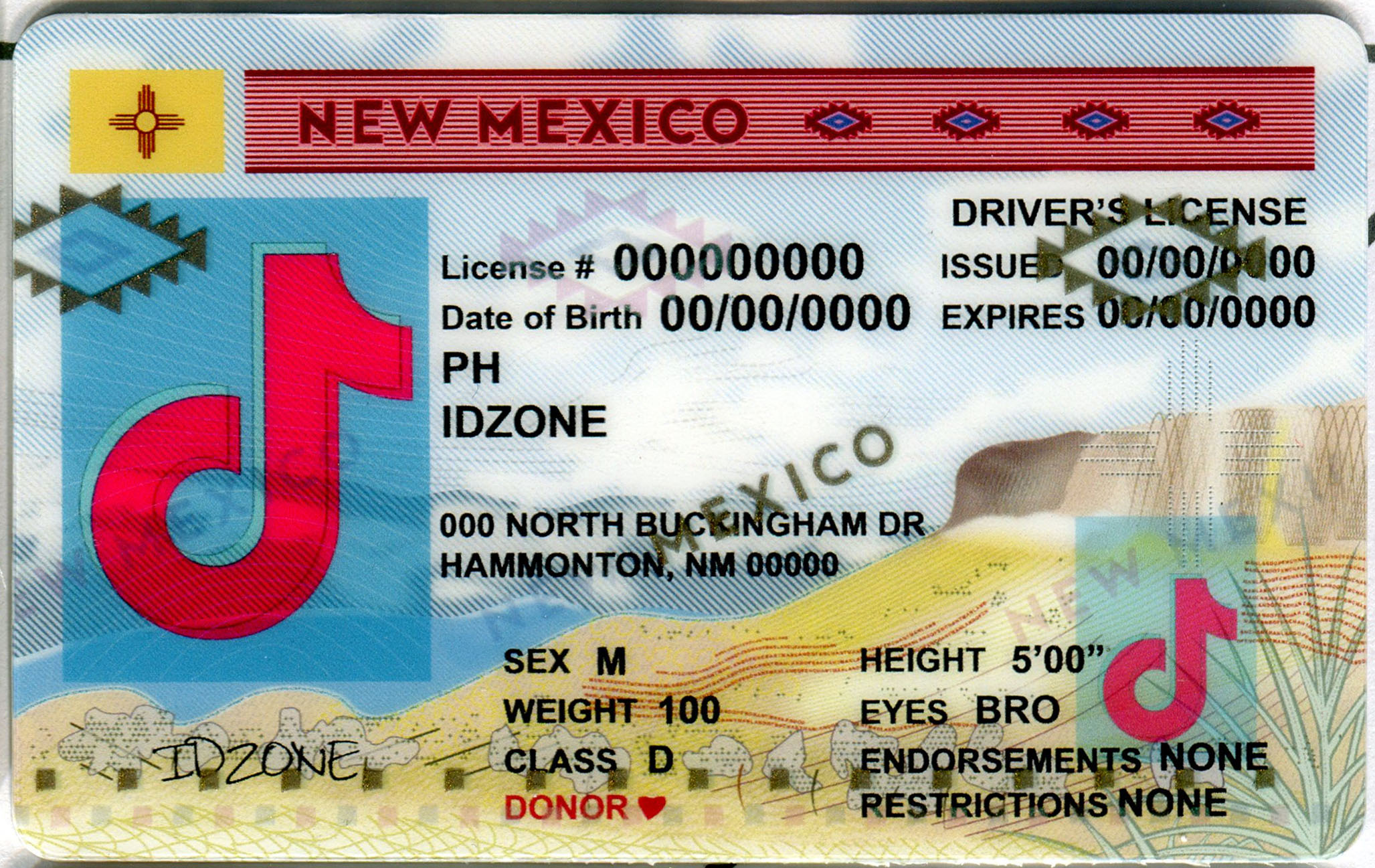 NEW MEXICO fake id