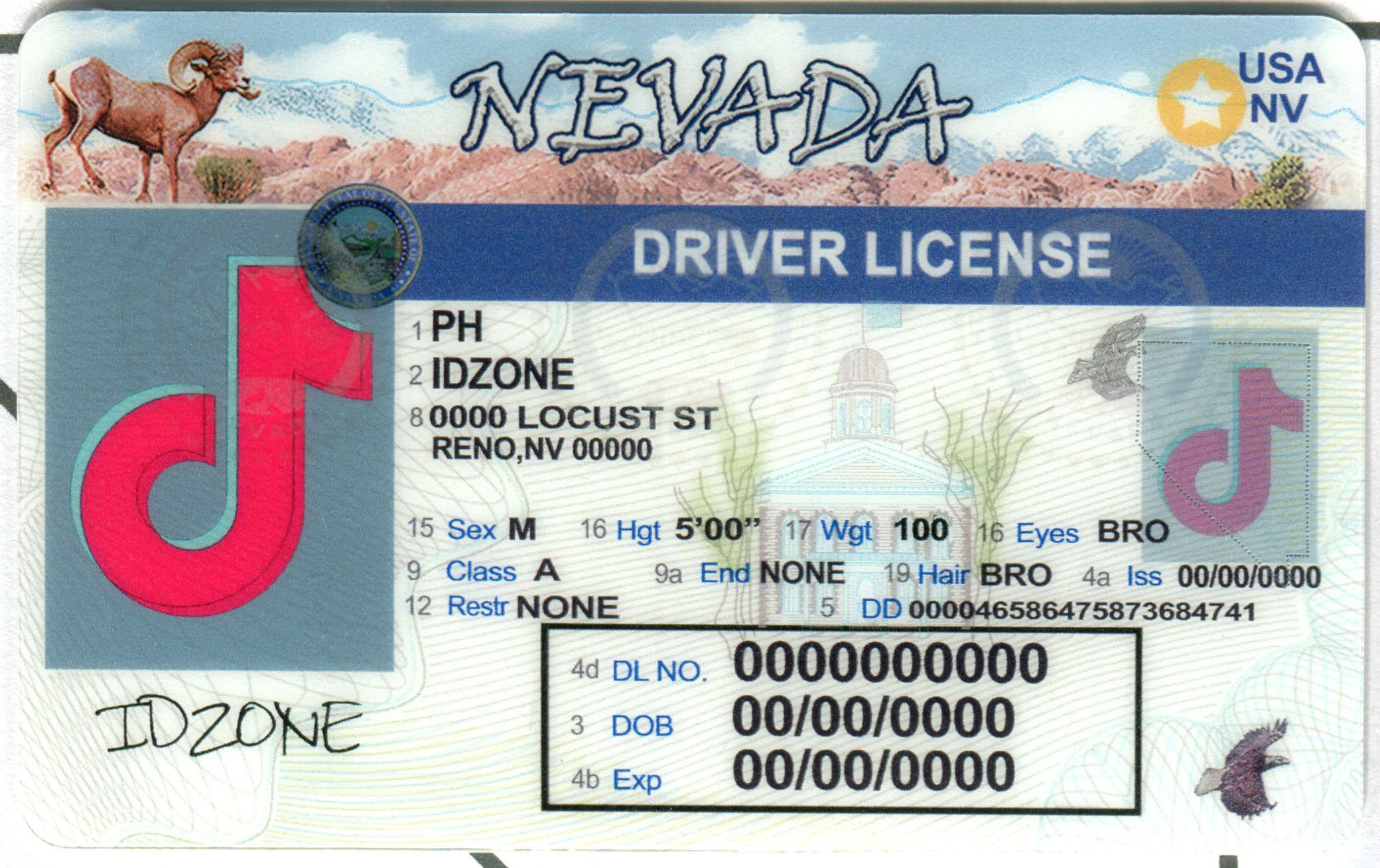 NEVADA fake id